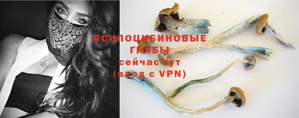 амф Алексеевка