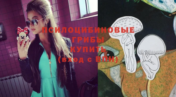 гашик Алзамай
