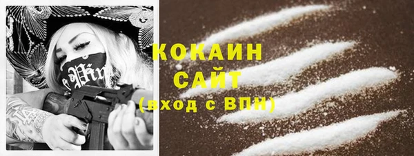 гашик Алзамай