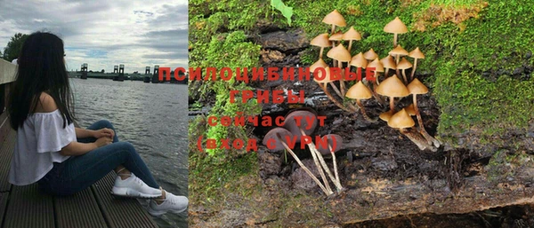 каннабис Алексин