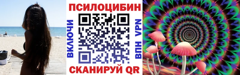 наркотики  Павловская  Псилоцибиновые грибы мухоморы 