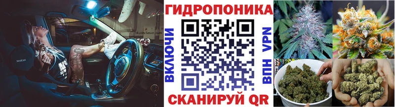 Шишки марихуана конопля Павловская